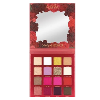 BeBella Cosmetics - Shady Of Roses - 16 kleuren - Oogschaduw Palette - BE16A - 16 g